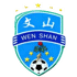 Wenshan Team 队徽